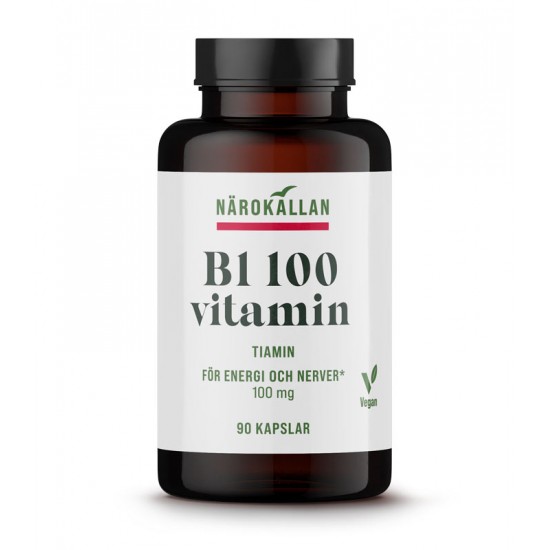 Vitamin B1 - 100 mg 90 stk